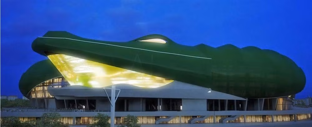 San van dong hinh ca sau xanh khong lo-Hinh-5