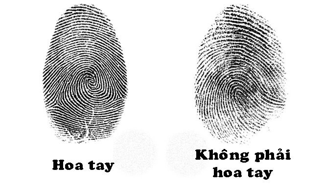 6 tướng tay người tuổi trẻ vất vả, trung vận thành công vô cùng - Hình 3 6 tuong tay nguoi tuoi tre vat va, trung van thanh cong vo cung-Hinh-3