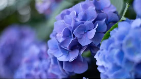 Buoc sang thang 9, 3 con giap co van may noi dai, moi su deu suon se-Hinh-2