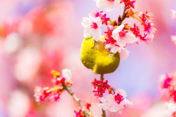 Sinh vào 3 tháng Âm lịch này nội lực mạnh mẽ - Hình 2 Sinh vao 3 thang Am lich nay noi luc manh me-Hinh-2
