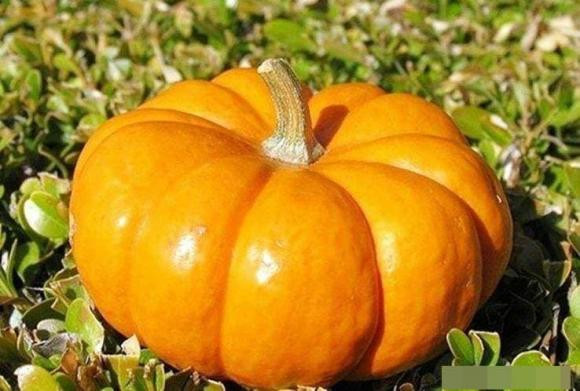 An du 4 loai thuc an nay, giai doc va thong ruot-Hinh-3