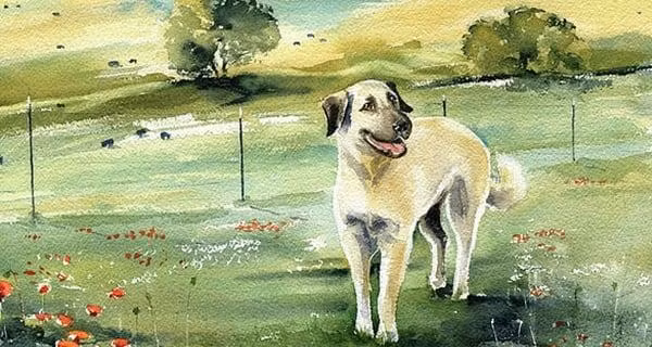 br/> Tuổi Tuất. Trời sinh Tuất là con giáp cực khôn ngoan, cực kỳ có bản lĩnh và có gan làm giàu. 