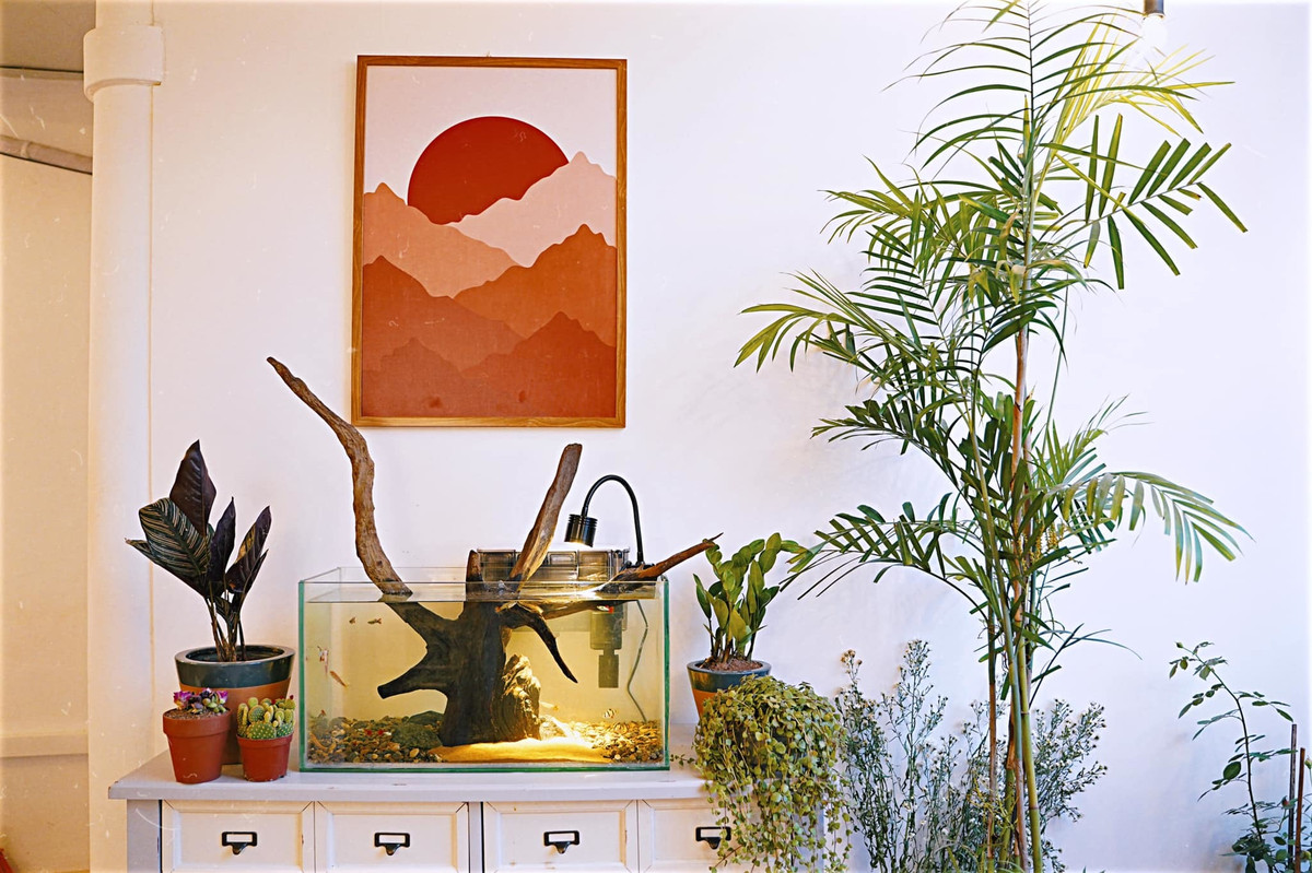 Mat bang toi tan bien hoa thanh khong gian song ngot ngao-Hinh-27