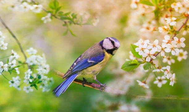 Sinh thời điểm Âm lịch này vận may dồn dập - Hình 2 Sinh thoi diem Am lich nay van may don dap-Hinh-2