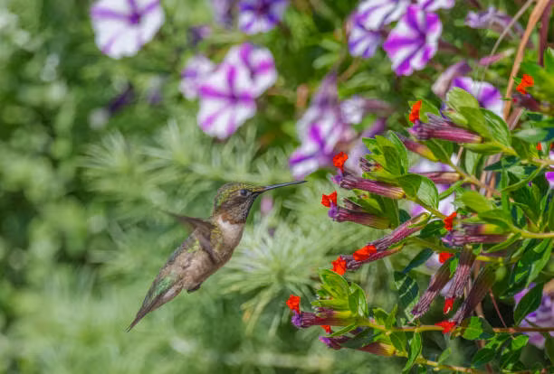 Sinh thoi diem Am lich nay van may don dap