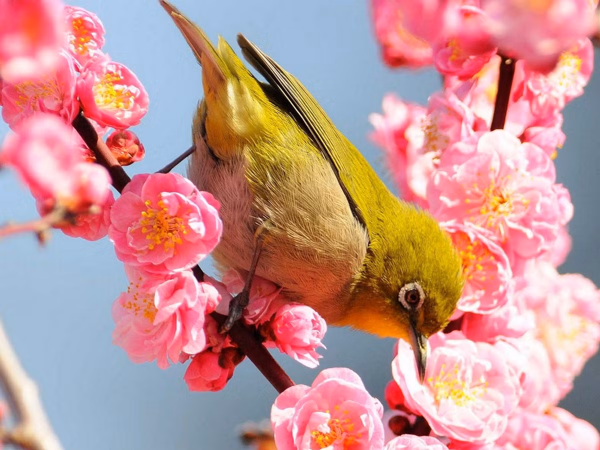 Tháng cuối cùng năm 2022, 3 con giáp sự nghiệp như ý Thang cuoi cung nam 2022, 3 con giap su nghiep nhu y