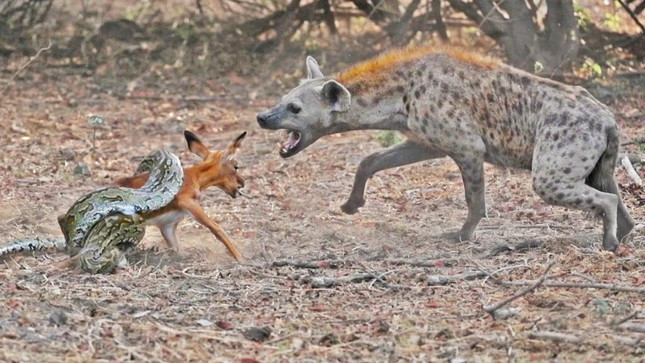 Tran lai bi linh cau nang tay tren trong chop mat-Hinh-2