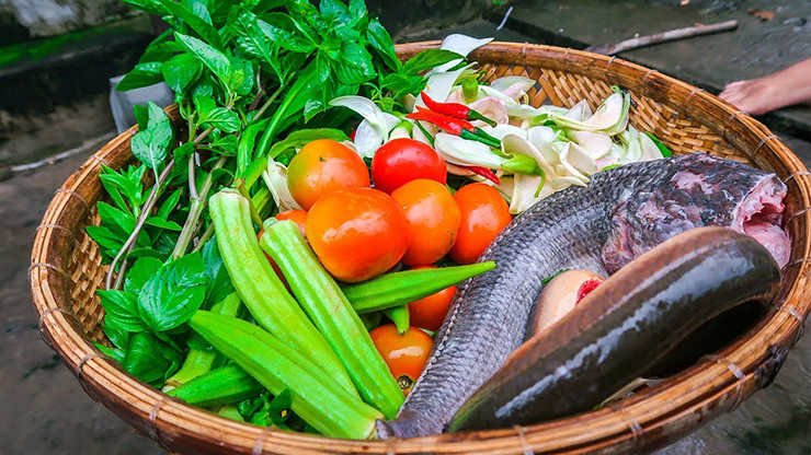 Cay dai xua lam hang rao, gio thanh 