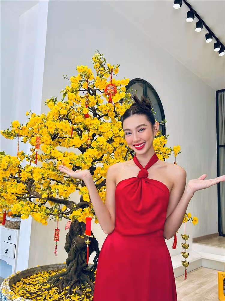 Lan truyen anh hoa hau Thuy Tien danh bai cuc sung-Hinh-2