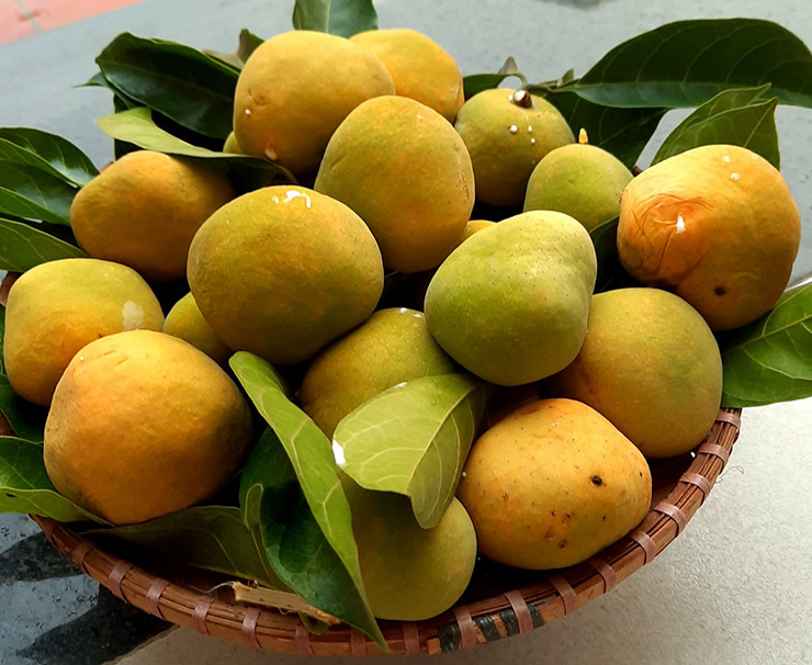 Người bán giới thiệu đây là quả rừng, không chất bảo quản