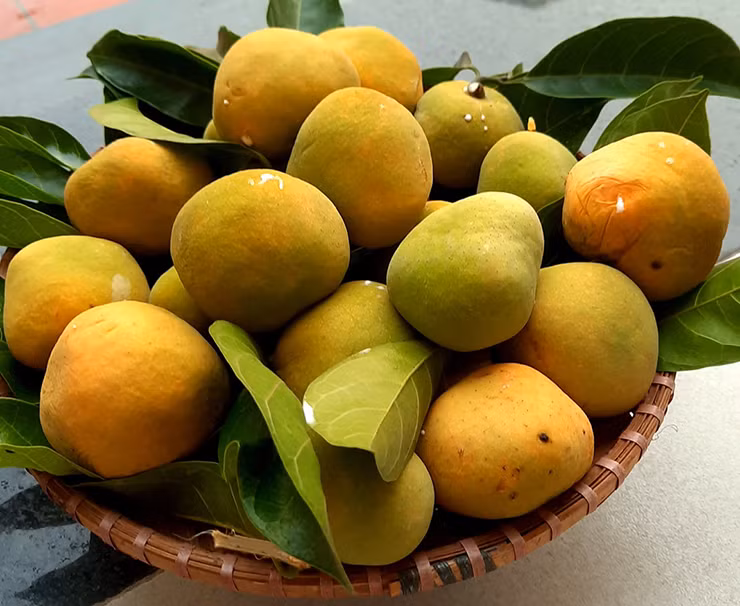 Người bán giới thiệu đây là quả rừng, không chất bảo quản