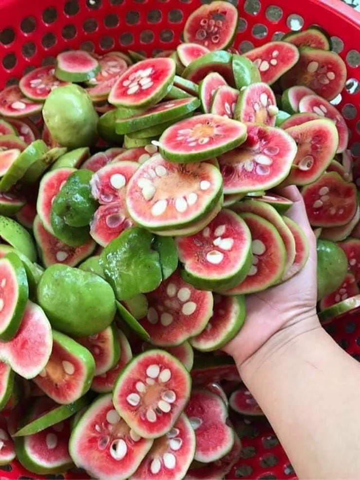 Chay ngoài tác dụng làm thực phẩm thì nó còn có tác dụng trong Đông y như một vị thuốc chữa bệnh.