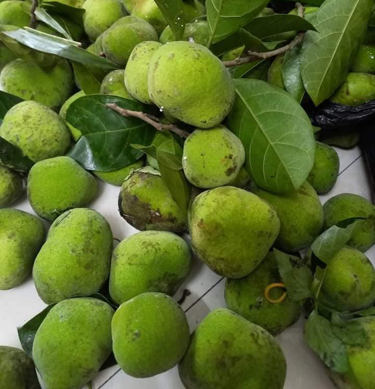 Chay xanh có vị chua chua ngọt ngọt, thường được người dân dùng để kho cá, nấu canh chua ngon nức tiếng