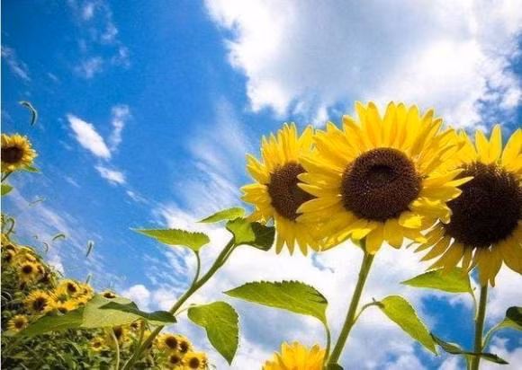 Nhung nguoi sinh ngay nay, sinh ra da co 'chia khoa vang'-Hinh-3