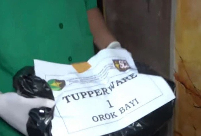 Chu nha 'rung roi chan tay' phat hien ra 7 bao thai trong hop giay-Hinh-4