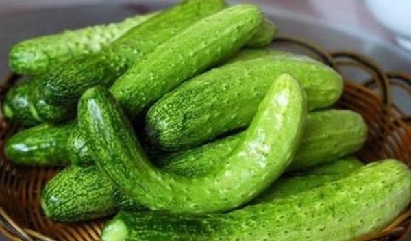 Mẹo mua dưa chuột đặc ruột, không bị đắng - Hình 3 Meo mua dua chuot dac ruot, khong bi dang-Hinh-3