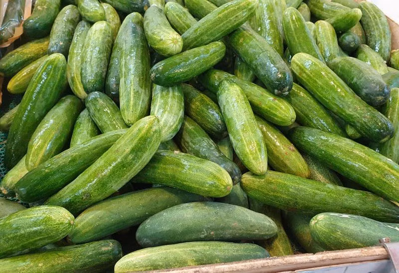 Meo mua dua chuot dac ruot, khong bi dang