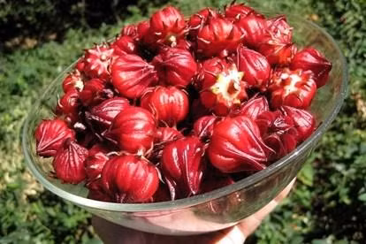 5 thuc pham don sach 'rac thai' sau Tet-Hinh-4