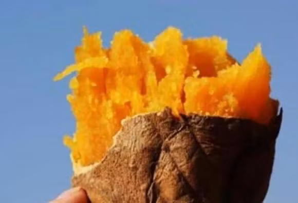 Khoai lang co the tieu diet 98,7% te bao ung thu-Hinh-4