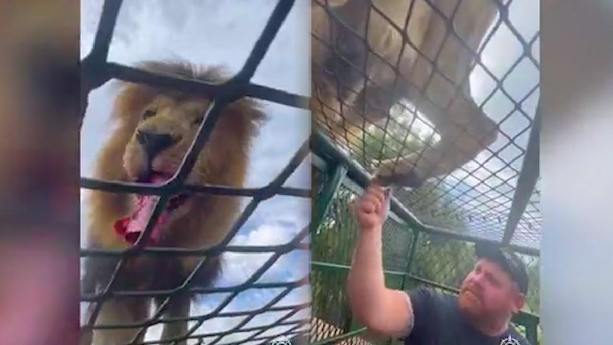 'Ron toc gay' khoanh khac su tu doi an quan ngay tren dau nguoi-Hinh-2