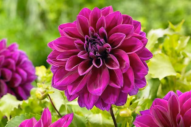 Sinh vao 6 ngay Am lich nay, vuong van quy nhan