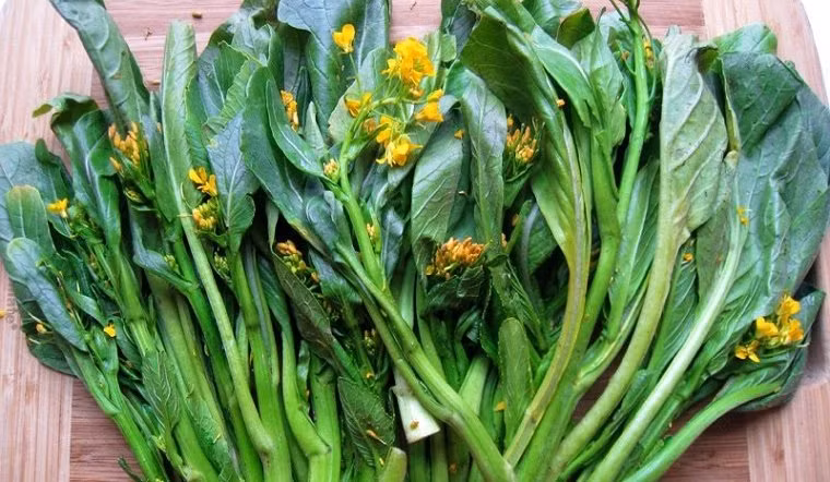 7 loại rau họ cải được ví là kháng sinh tự nhiên, chống lại khối u ác tính - Hình 7 7 loai rau ho cai duoc vi la khang sinh tu nhien, chong lai khoi u ac tinh-Hinh-7