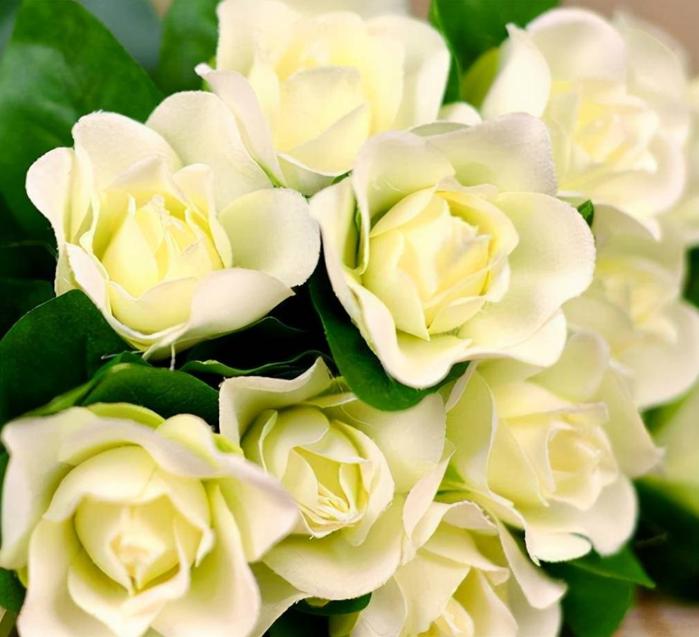 Sinh vao 6 ngay Am lich nay, tu lap tu cuong-Hinh-2