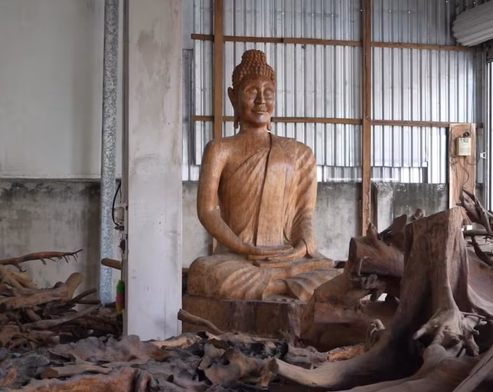 Mua cây khô cổ thụ giá 35 triệu, sau 8 năm được trả 35 tỷ - Hình 2 Mua cay kho co thu gia 35 trieu, sau 8 nam duoc tra 35 ty-Hinh-2