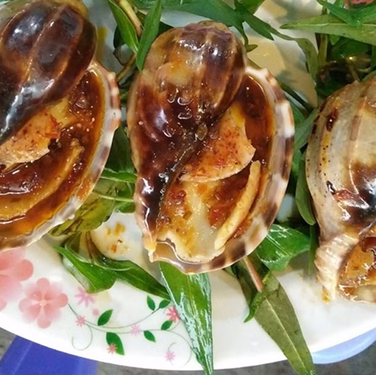 Thịt ốc khế thơm ngon, giòn dai, chứa nhiều đạm và chất béo tốt cho sức khỏe
