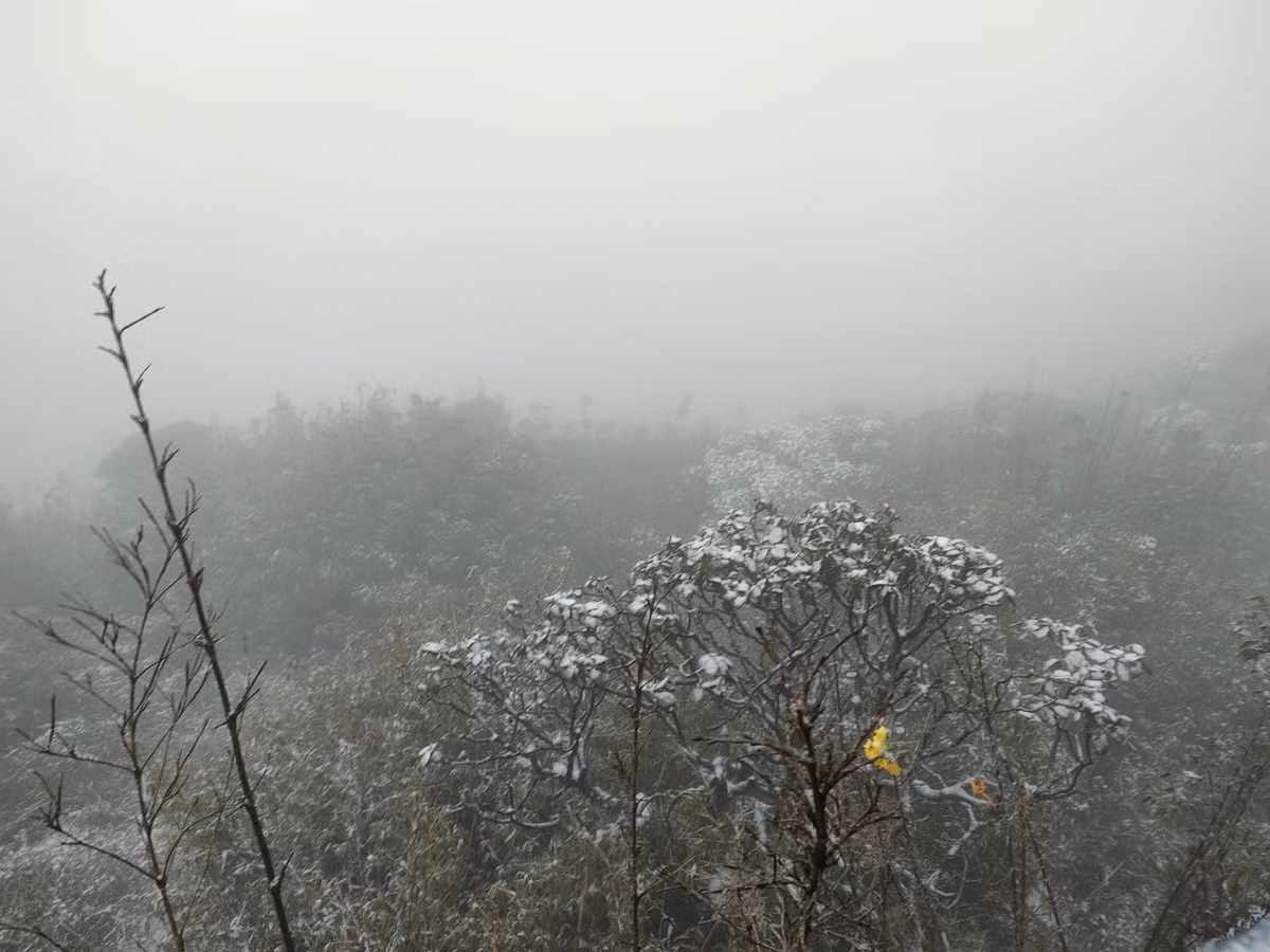 Du bao thoi tiet 29/12: Mien Bac chim sau trong gia buot