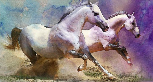 3 con giáp trời sinh số sướng, từ tuổi 30 tha hồ giàu có 3 con giap troi sinh so suong, tu tuoi 30 tha ho giau co