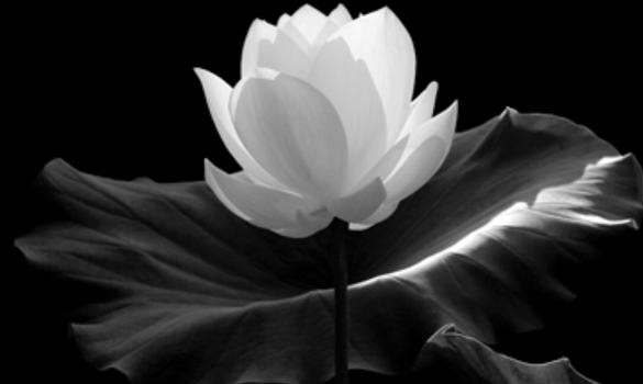 Ảnh người đã khuất ở đầu giường. Theo phong thủy học, không để di ảnh người đã mất ở đầu giường ngủ dù bạn có thương tiếc người đó rất nhiều vì dễ bóng đè, mộng mị, không tốt cho sức khỏe và giấc ngủ. Để tiện cho việc thờ phụng, cúng bái, chủ nhà nên đặt di ảnh của người quá cố ở một nơi an tịnh sạch sẽ hay trong phòng khách.