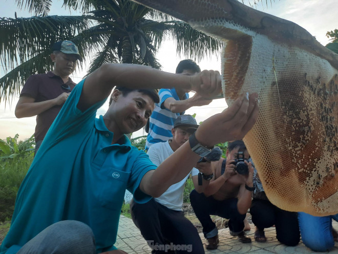 Nghề “gác kèo ong” đã được công nhận di sản văn hóa phi vật thể cấp quốc gia năm 2019. Còn sản phẩm “Mật ong U Minh hạ” được Cục Sở hữu trí tuệ công nhận nhãn hiệu tập thể từ năm 2012. “Mật ong rừng U Minh hạ” cũng từ đó mà ngày càng vươn xa, có giá trị hơn.