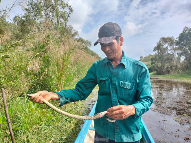 Mới 39 tuổi đời nhưng anh Hoàng đã có thâm niên hàng chục năm “lăn lộn” kiếm sống nơi cánh rừng già.