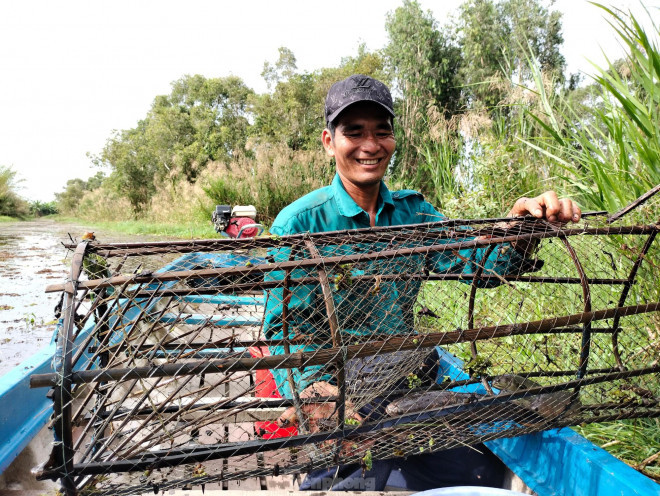 Thấy chiếc lợp động đậy, anh Hoàng vội nói: “Có cá lớn”. Rồi anh nhẹ nhàng nâng chiếc lợp khỏi mặt nước đưa lên vỏ lãi.