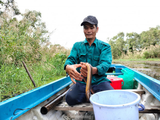 Thăm những chiếc lờ, lợp xong, anh Hoàng vội nổ máy thăm những cái trúm bắt lươn, có khi bắt nhiều con nặng đến hơn 1kg, mới thấy thiên nhiên đã không phụ người có lòng.