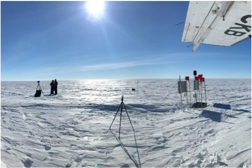 Loai ca duoc tim thay o Nam Cuc: Se chet neu nhiet do vuot qua 5 do-Hinh-4