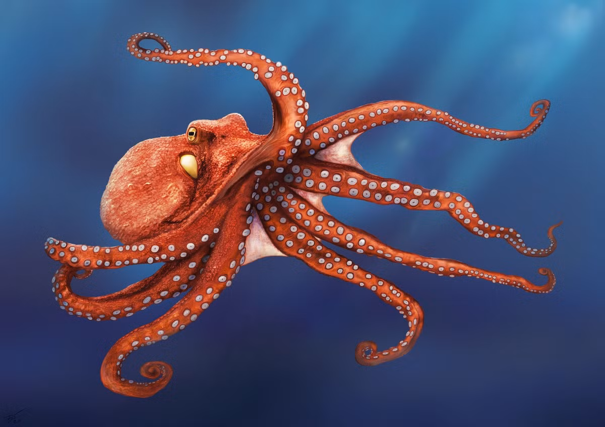 Cach nuoi day con dac biet cua 10 loai dong vat-Hinh-10