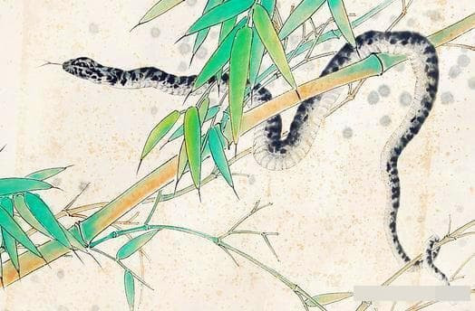 Người tuổi Tỵ có khiếu thẩm mỹ cao, theo đuổi sự hoàn hảo và chủ trương tự do. Và dù là cuộc sống đời thường hay những thứ thuộc về tâm linh, anh ấy đều đòi hỏi sự hoàn hảo. Tận hưởng một cuộc sống hoàn hảo, không coi thường mọi thứ trên đời, là một cuộc sống đầy sôi động và tao nhã, khiến người khác cảm thấy không thể giải thích được và rất mới lạ.