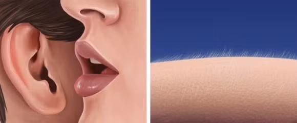 Tai sao noi da ga tren da?-Hinh-2