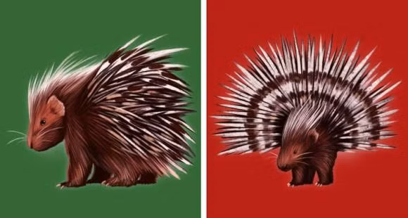 Tai sao noi da ga tren da?-Hinh-3