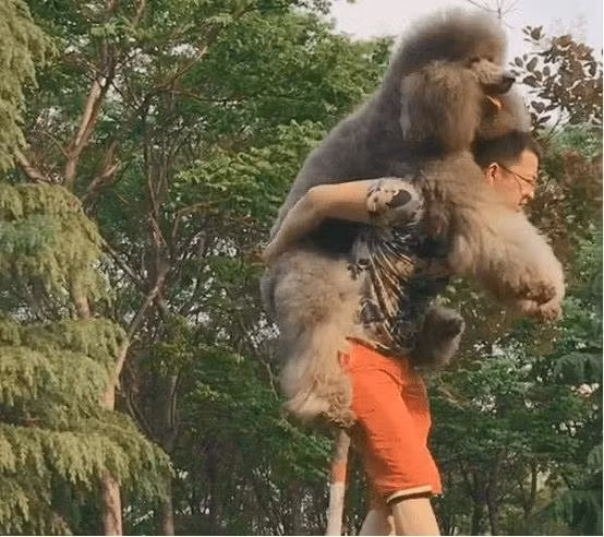 Nguoi dan ong dat cho di dao, khi quay ve vo khong nhan ra-Hinh-5