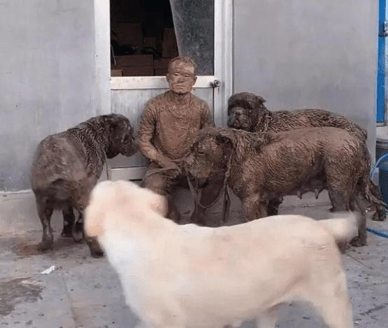 Nguoi dan ong dat cho di dao, khi quay ve vo khong nhan ra-Hinh-3