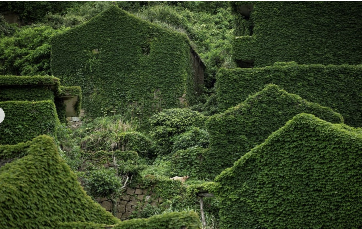 Ngam lang ma dep nhu tranh o Trung Quoc-Hinh-3