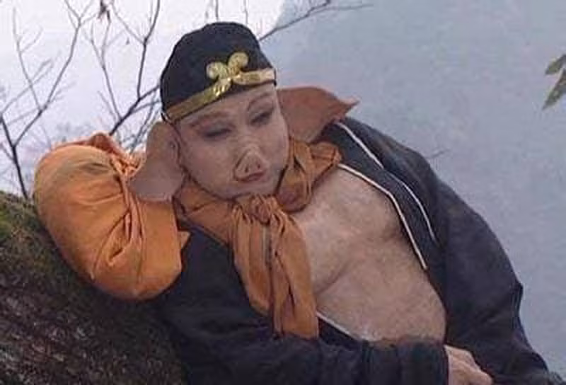 Sau khi lấy được kinh, tại sao Trư Bát Giới vẫn chỉ là lợn? ảnh 5