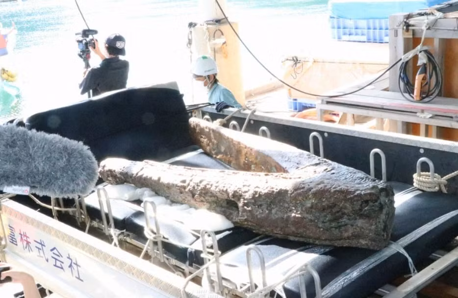 Nhat Ban vot mo neo tau chien Mong Co sau hon 700 nam-Hinh-2