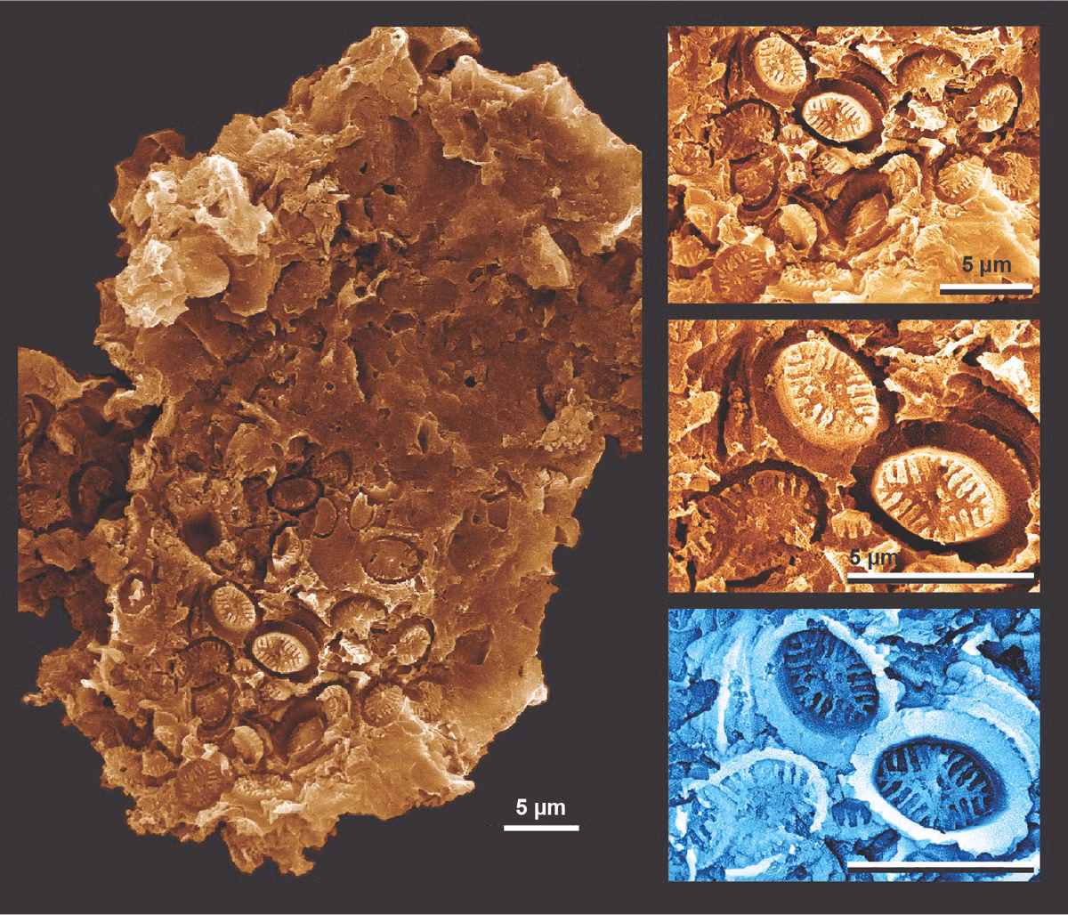 "Ma hóa thạch" 183 triệu năm tiết lộ về "tận thế"
