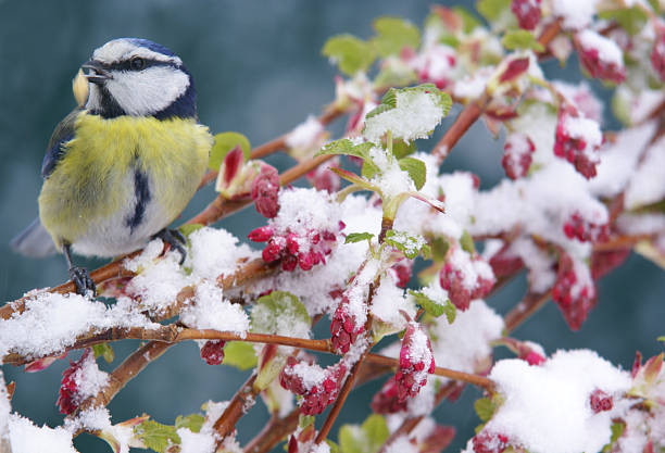 Tran day lac quan, nguoi sinh ngay Am lich nay ca doi may man-Hinh-2
