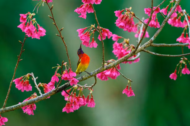 Tran day lac quan, nguoi sinh ngay Am lich nay ca doi may man-Hinh-3