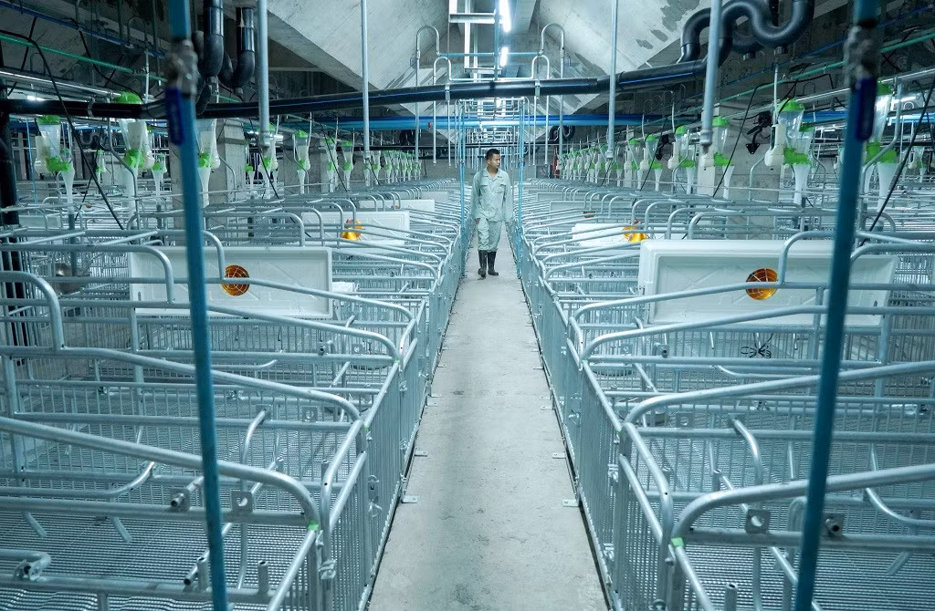 Hinh anh ben trong 'chung cu lon' khong lo o Trung Quoc-Hinh-2